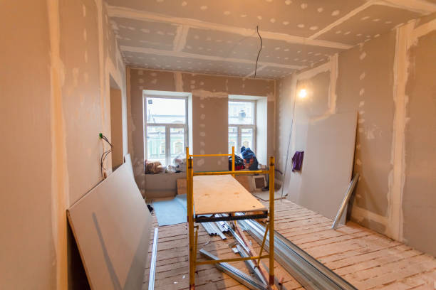 Best Drywall Removal and Disposal  in Sandoval, IL